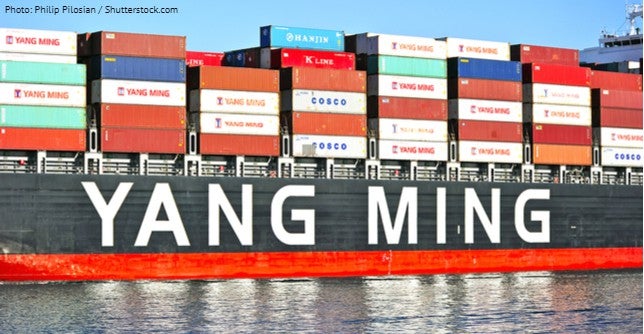 YangMing_used_7_5