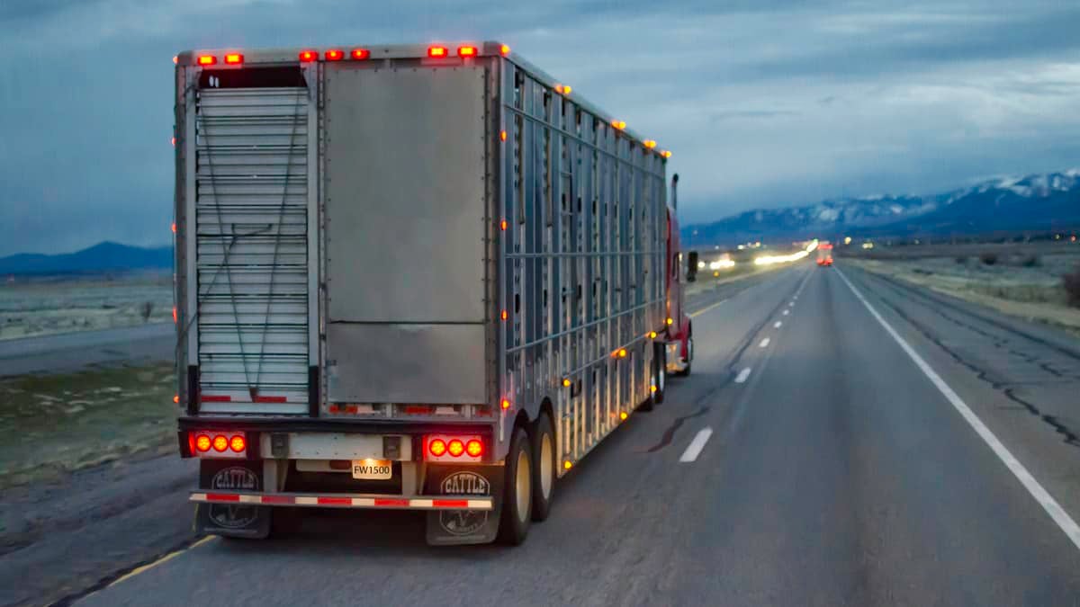 Food-as-software will make a chunk of ag-sector trucking obsolete (Photo: Jim Allen/FreightWaves)