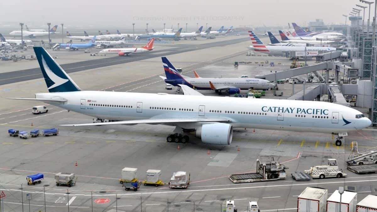 White planes with dark green tail fin parked at airport gates.