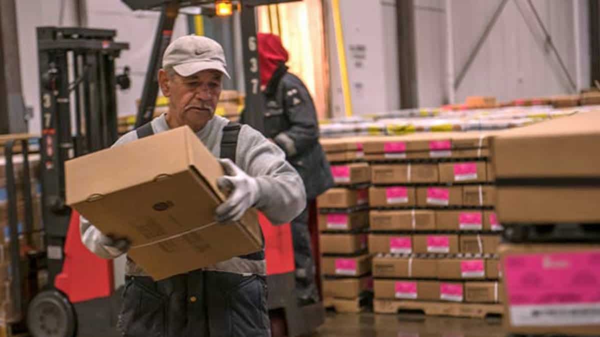 worker at cold storage facility