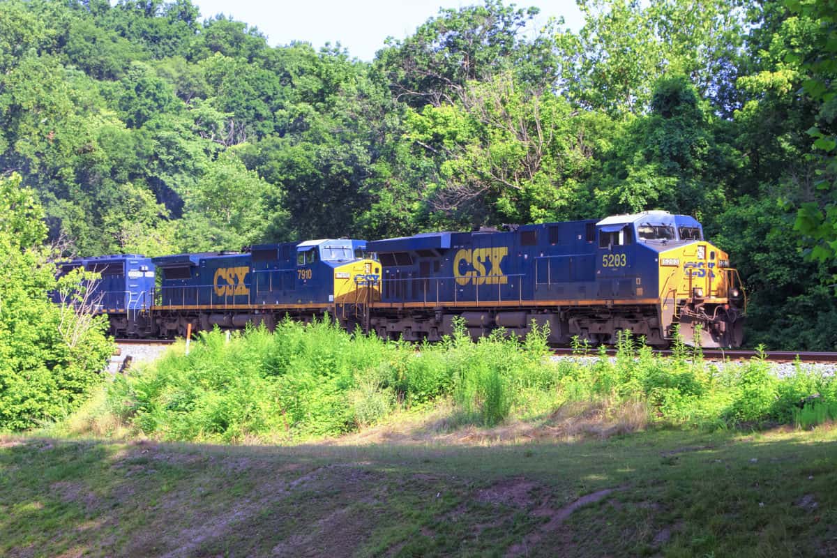 A photograph of a train traveling through a clearing in the woods.