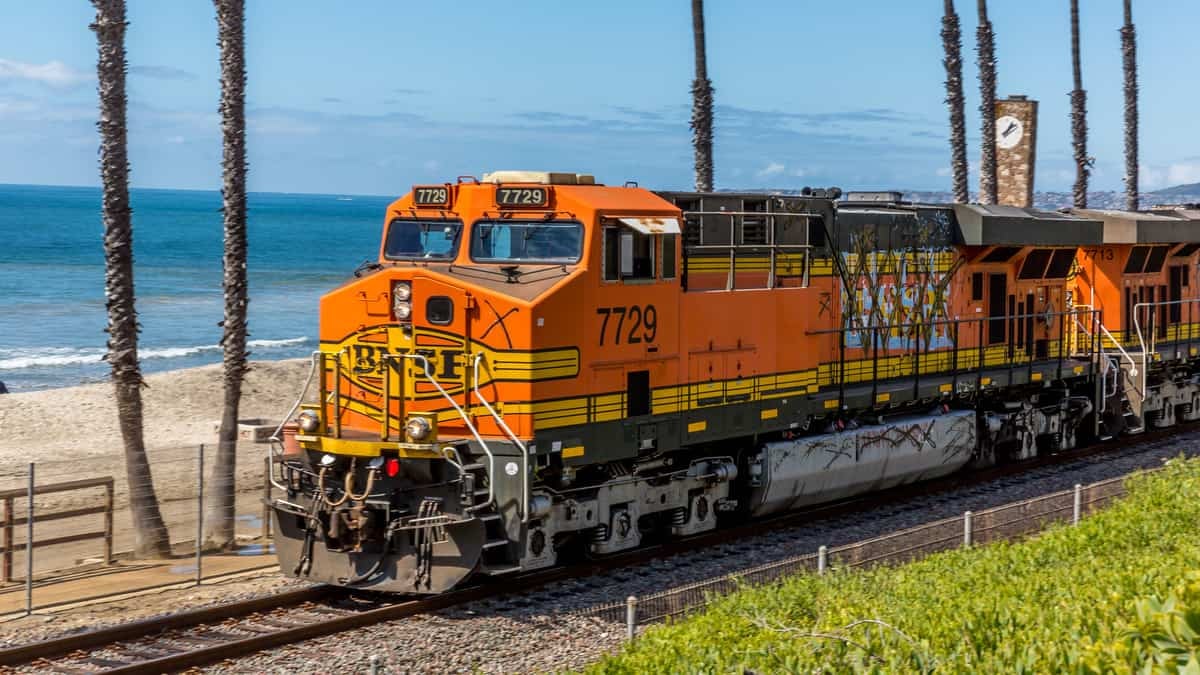 A photograph of a train running along next to a beach. There are palm tree trunks and the ocean behind the train.