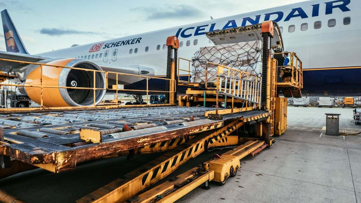 A big passenger plane gets loaded with cargo in the hold.