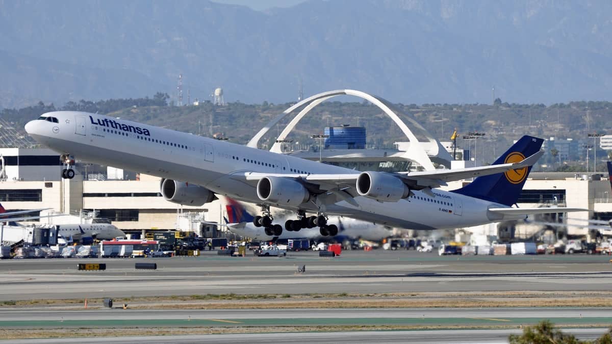 A big, white Lufthansa plane takes off