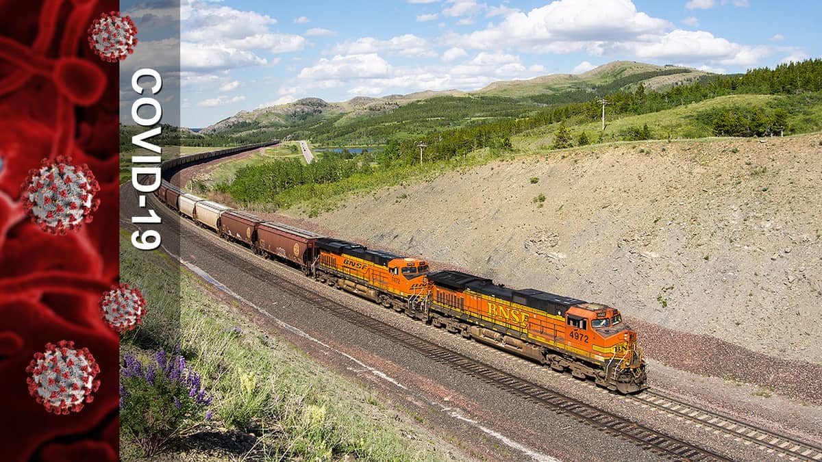 A composite image. On the left is some microscopic photos of the novel coronavirus and the words COVID-19. On the right is a train traveling through a field.