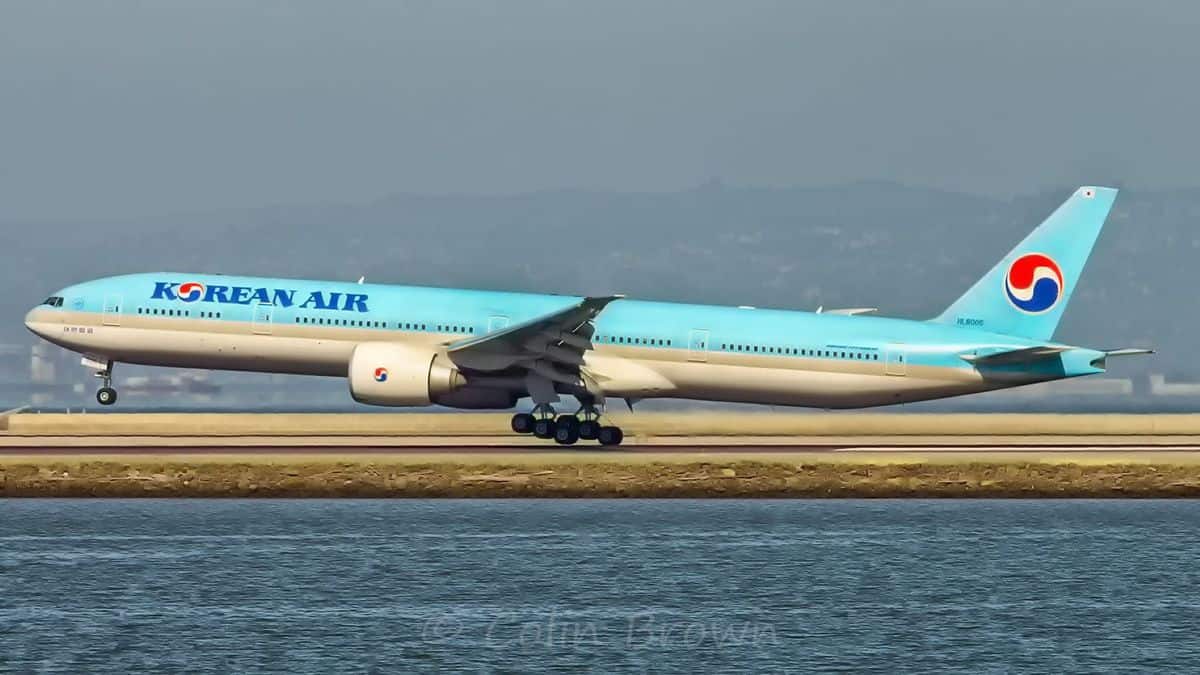 A light blue Korean Air jet lands on runway by water.