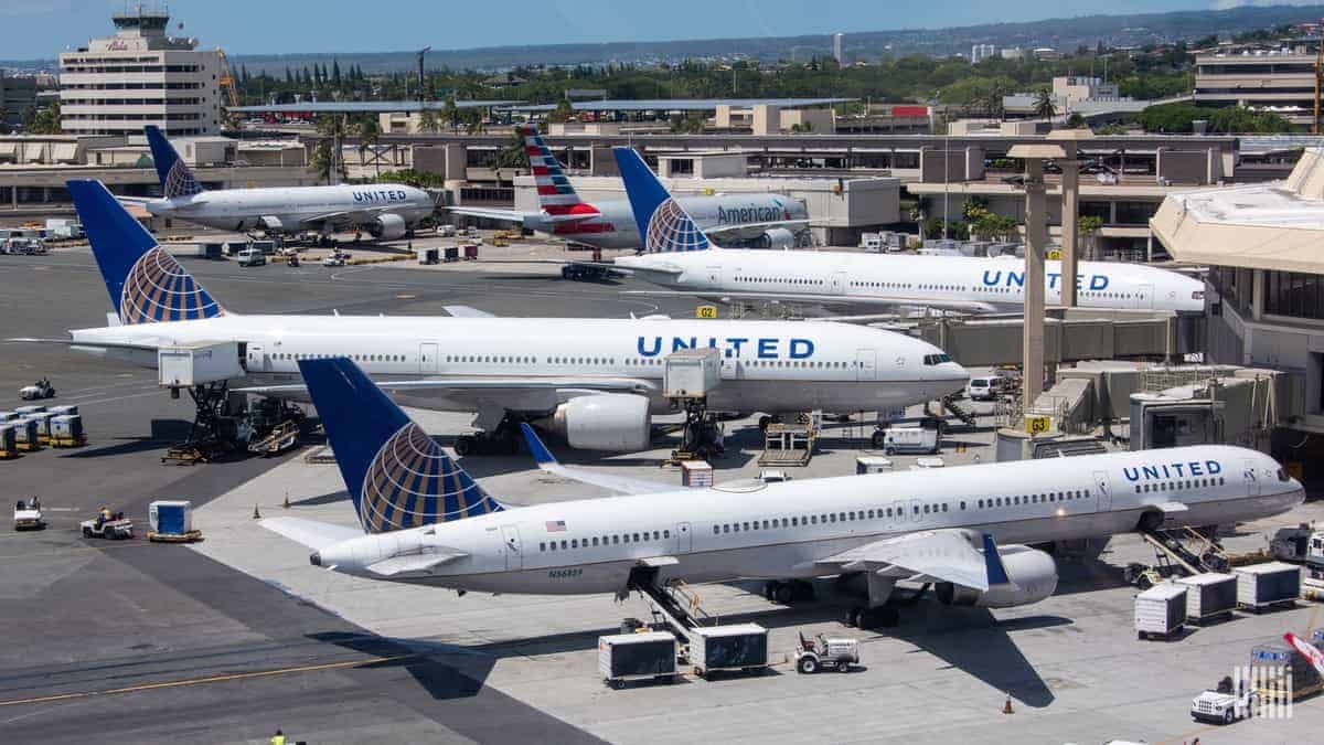 White jets with blue tails at airport terminal