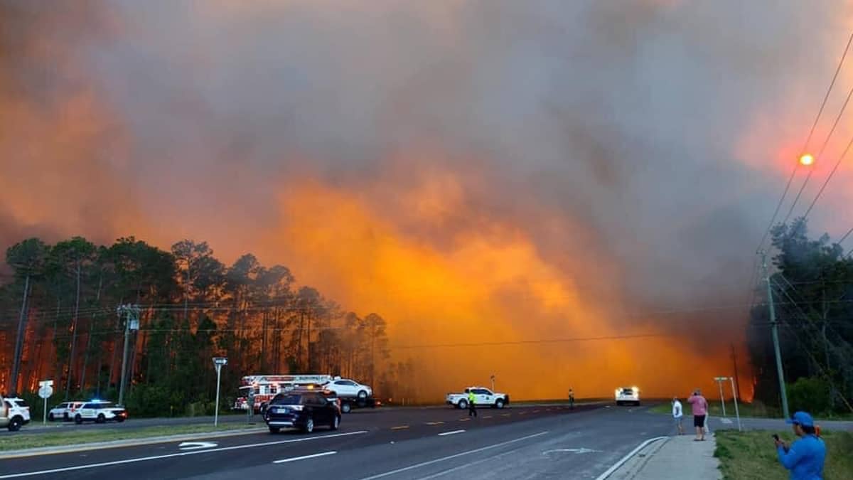 Wildfire burning in Walton County, Florida on May 6, 2019.