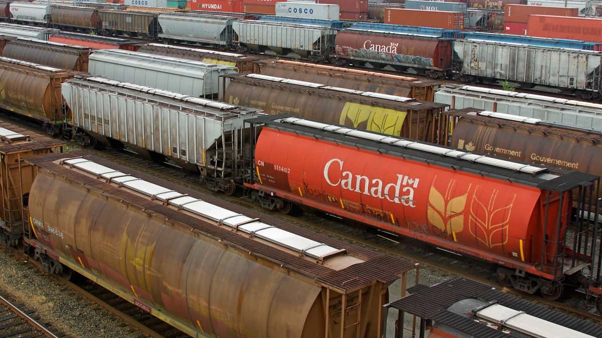 A photograph of railcars and hopper cars lined up on rail tracks.