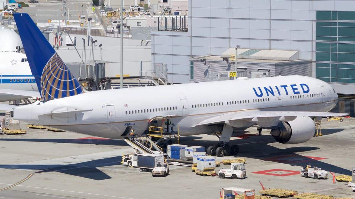 White jet, blue tail, United Airlines at airport gate.