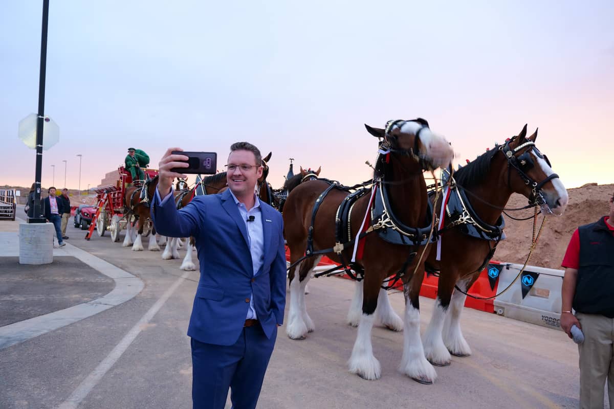 Nikola executive chair with Budweiser Clydesdales