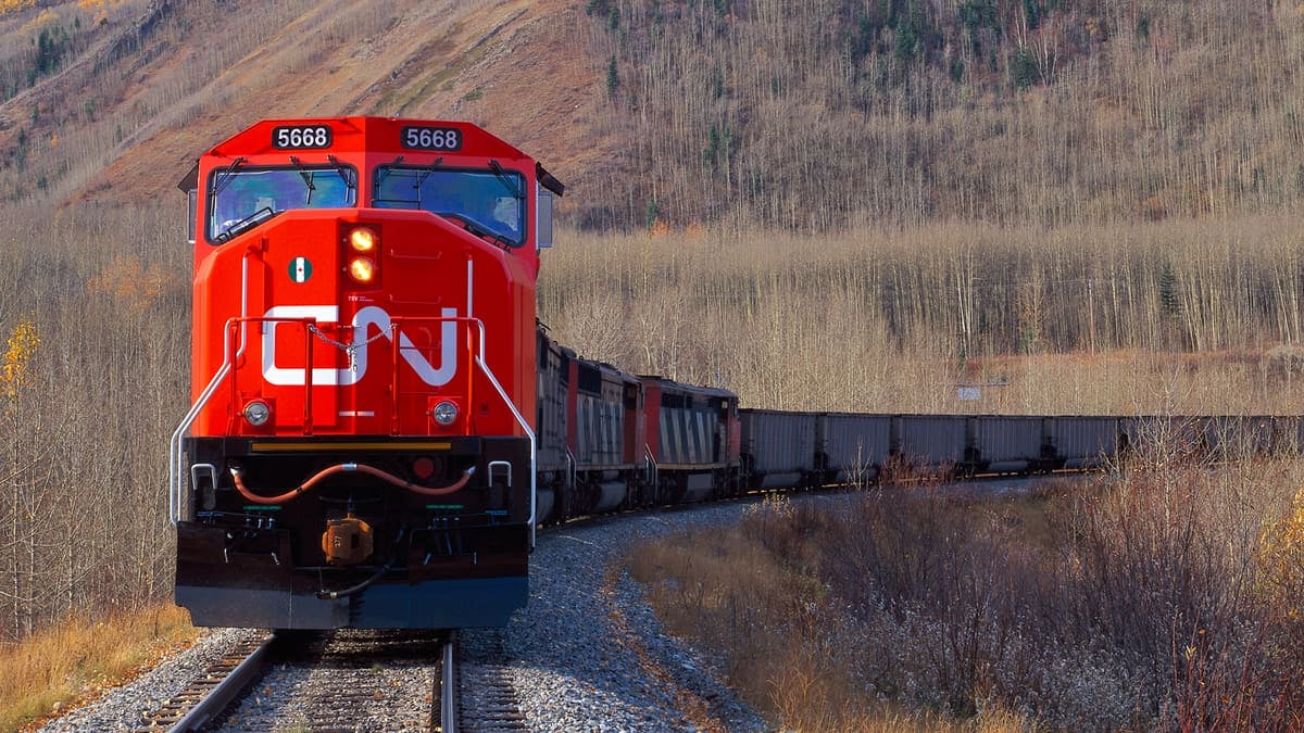 A photograph of a train traveling through a forest without any leaves on the trees.