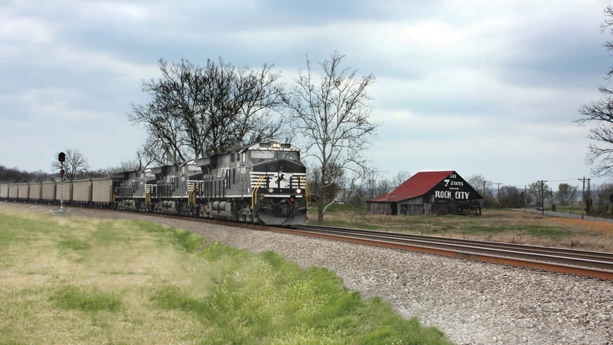 A photograph of a Norfolk Southern train traveling through a field.