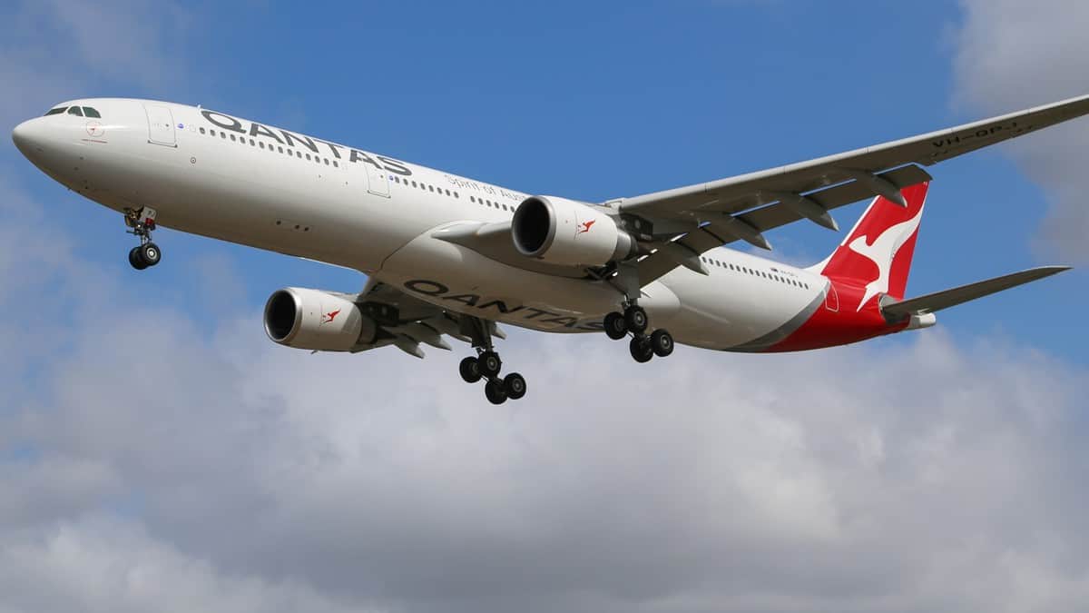 A white Qantas jet with red tail comes in for landing on bright day with wheels lowered. Qantas carries freight in its passenger planes, but it's freight station in Melbourne has been closed because of COVID.