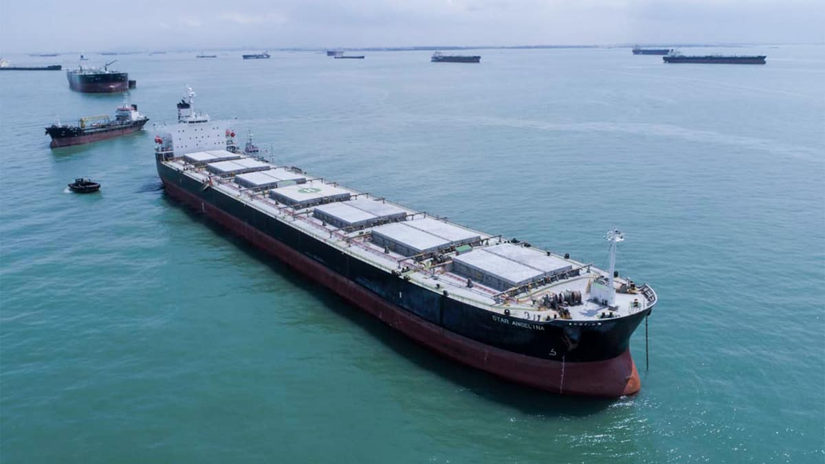 bulk ship