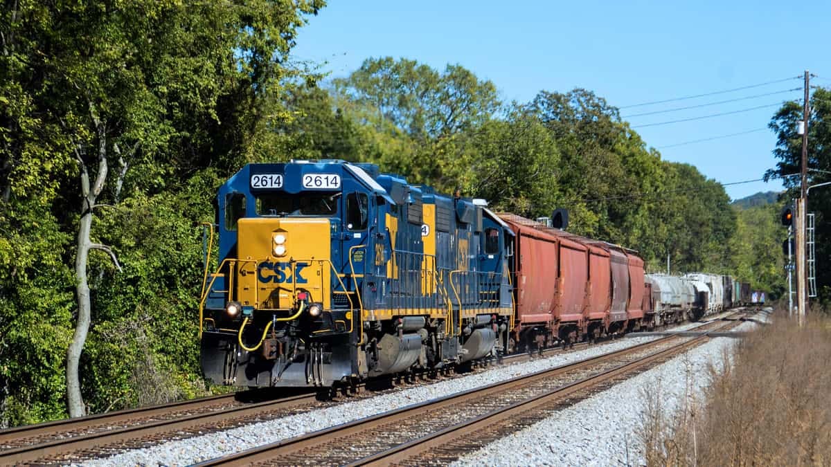 A photograph of a CSX train traveling by a forest.