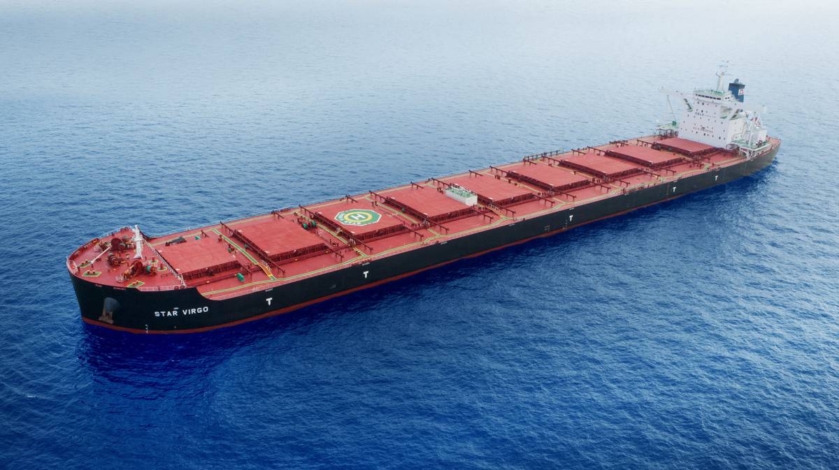 dry bulk ship