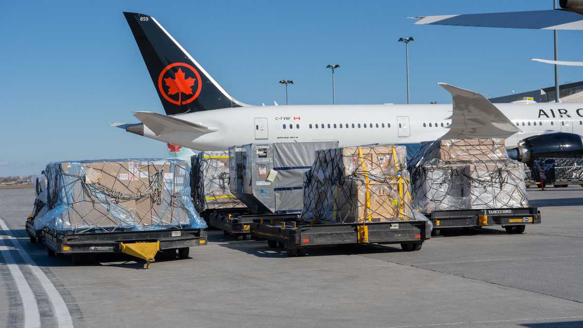 View from tarmac, rear sideview of white jet with dark red tail, Air Canada, on sunny day. Pallets of cargo sit in the foreground waiting to be loaded.