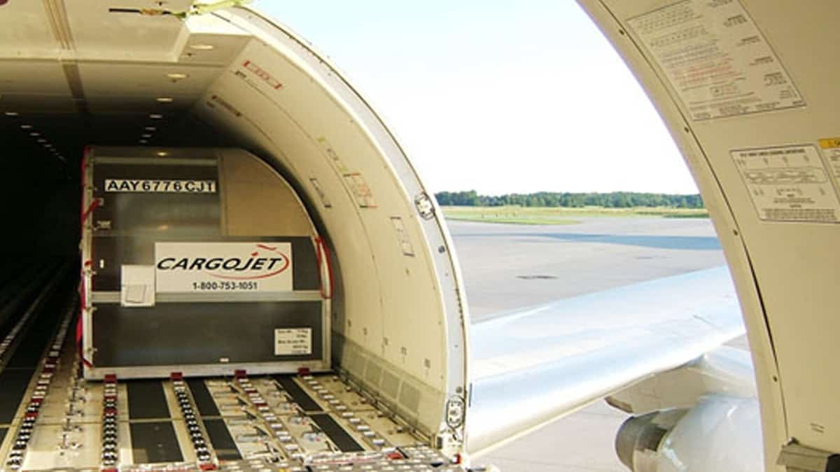 Inside view of the cargo hold of a jet with a small container inside and the door open.