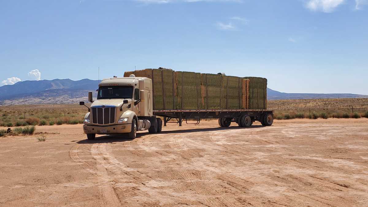 Hornady and Builder’s Transportation Co. complete merger