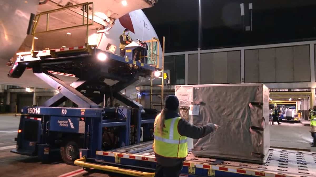 A hydraulic lift raises metal containers with cargo to door of a jet at night.