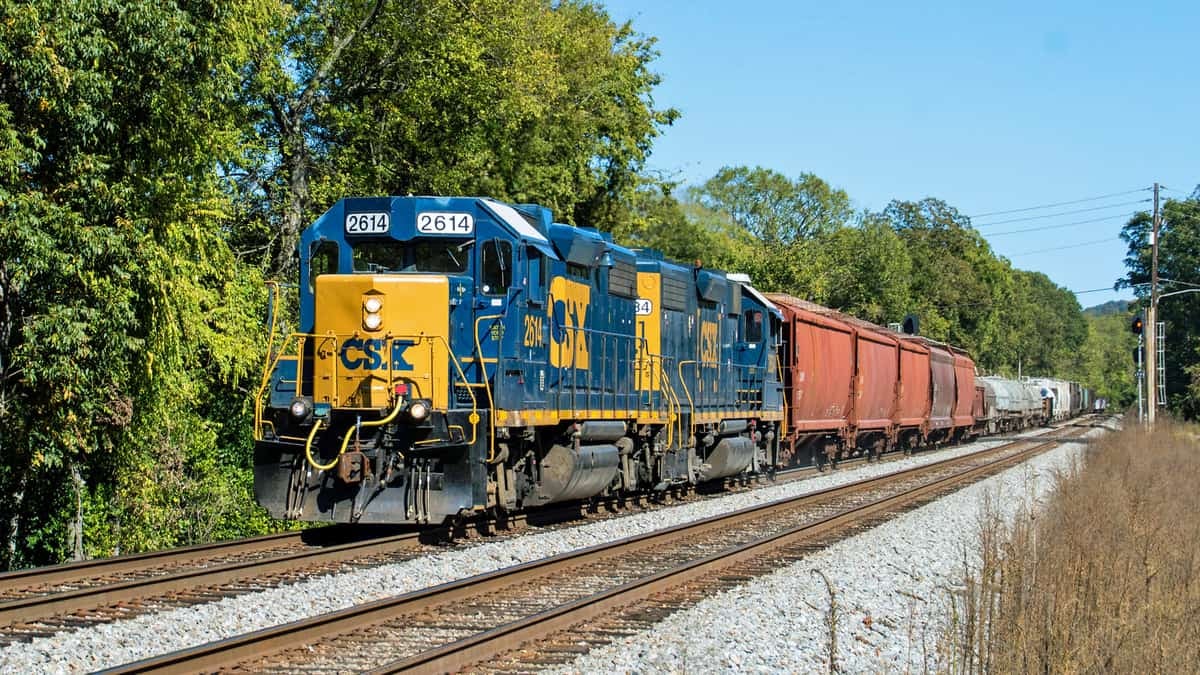 A photograph of a CSX train passing through a forest.