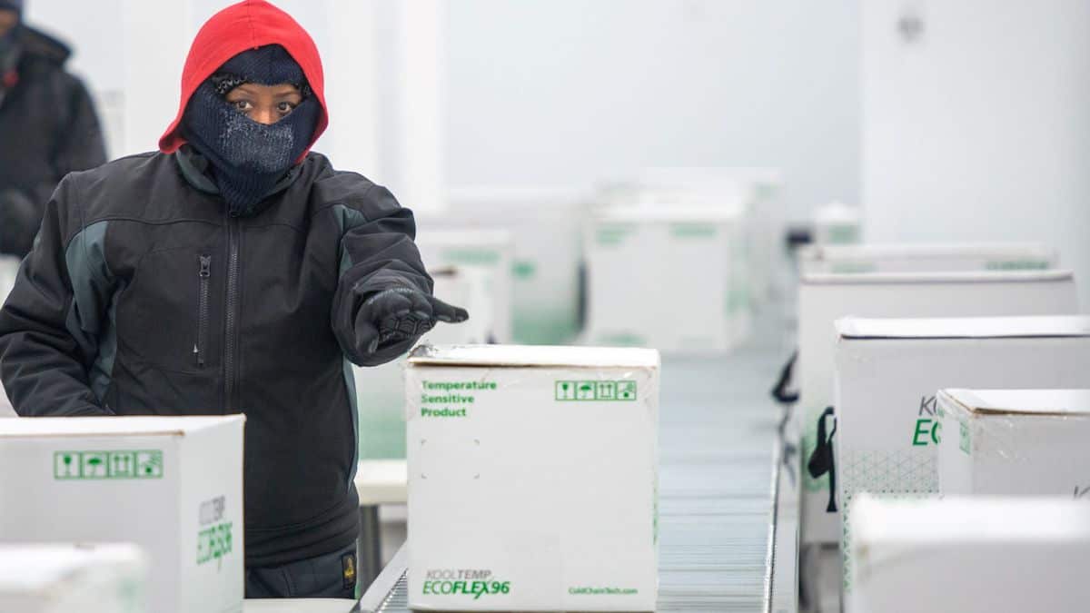 Insulated boxes move down assembly line at distribution center.