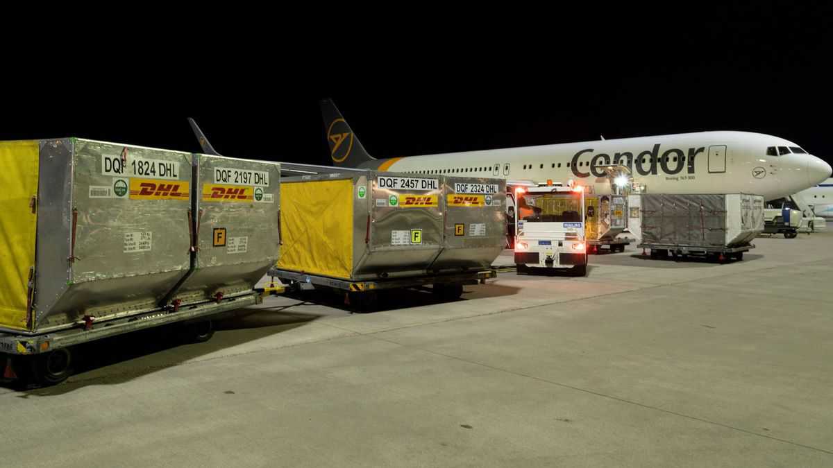 Pallets of air cargo on carts waiting to be loaded into a white plane at night.