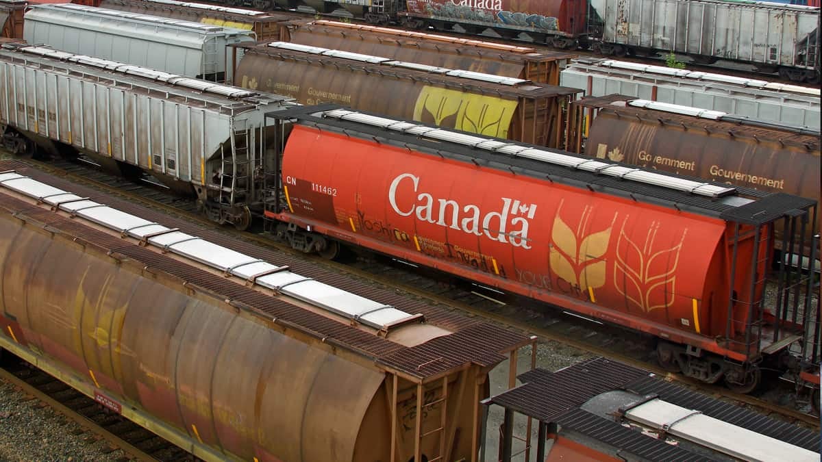 A photograph of grain hopper cars in a rail yard.