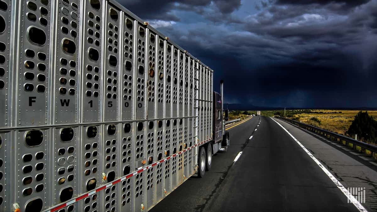 Tractor-trailer heading down a highway with thunderstorm cloud ahead.