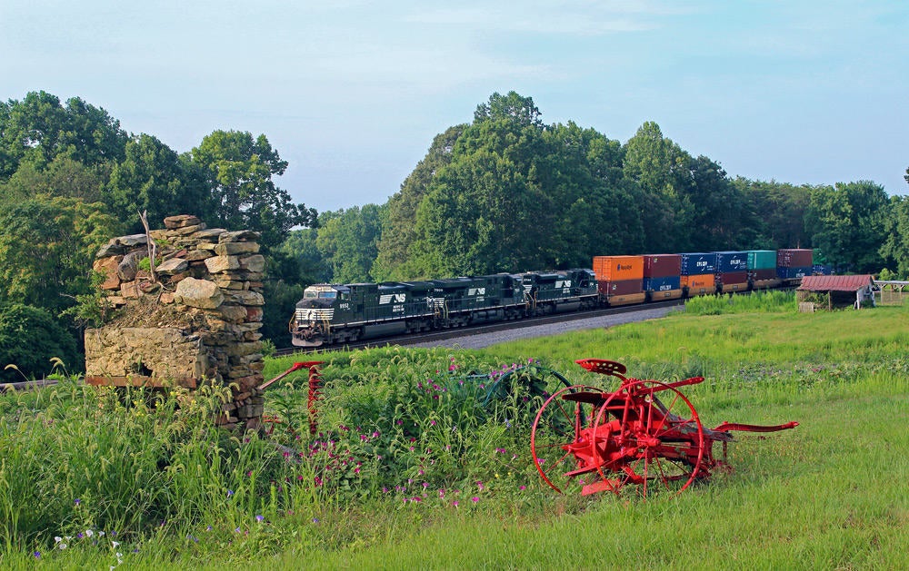 A photograph of a Norfolk Southern train rolling through a field.