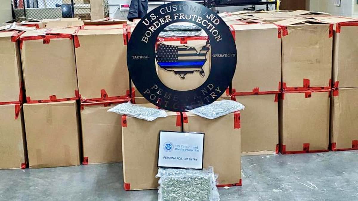 Marijuana seized from a truck at the U.S.-Canada border in Pembina, ND.