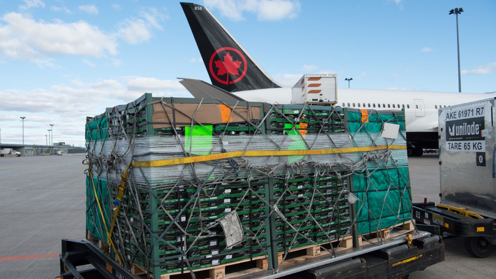 Cargo pallets on the tarmac waiting to be loaded on an Air Canada plane.