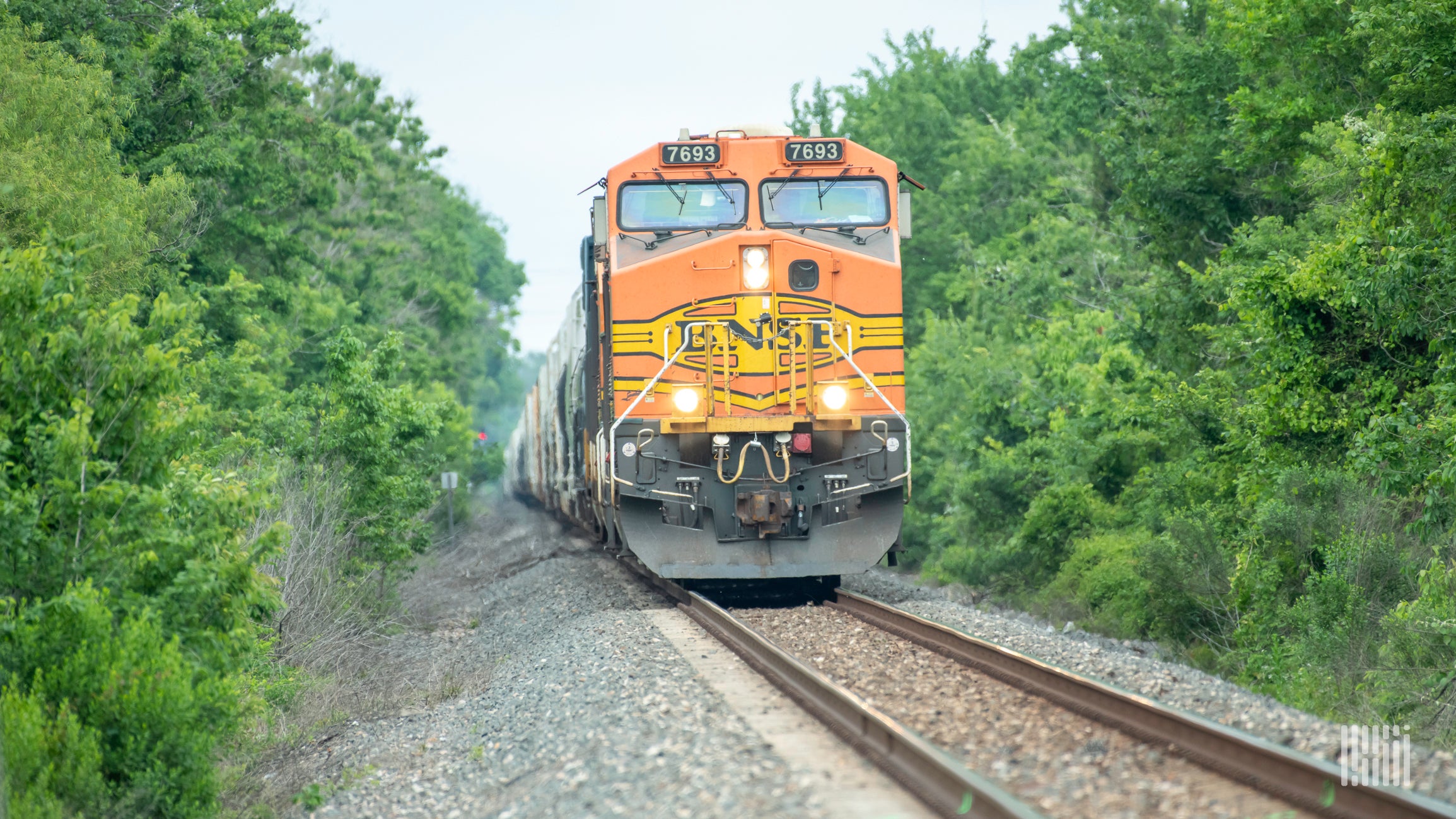 A photograph of a BNSF train rolling through a forest.