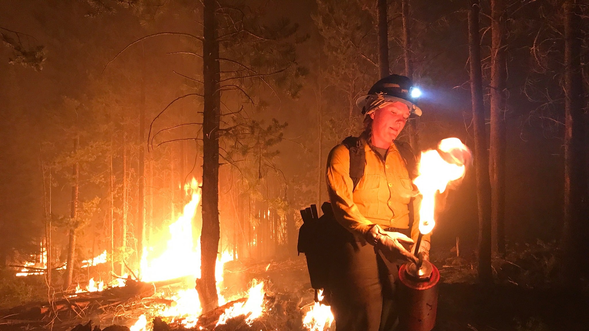 Firefighter at the Bootleg fire in southern Oregon.