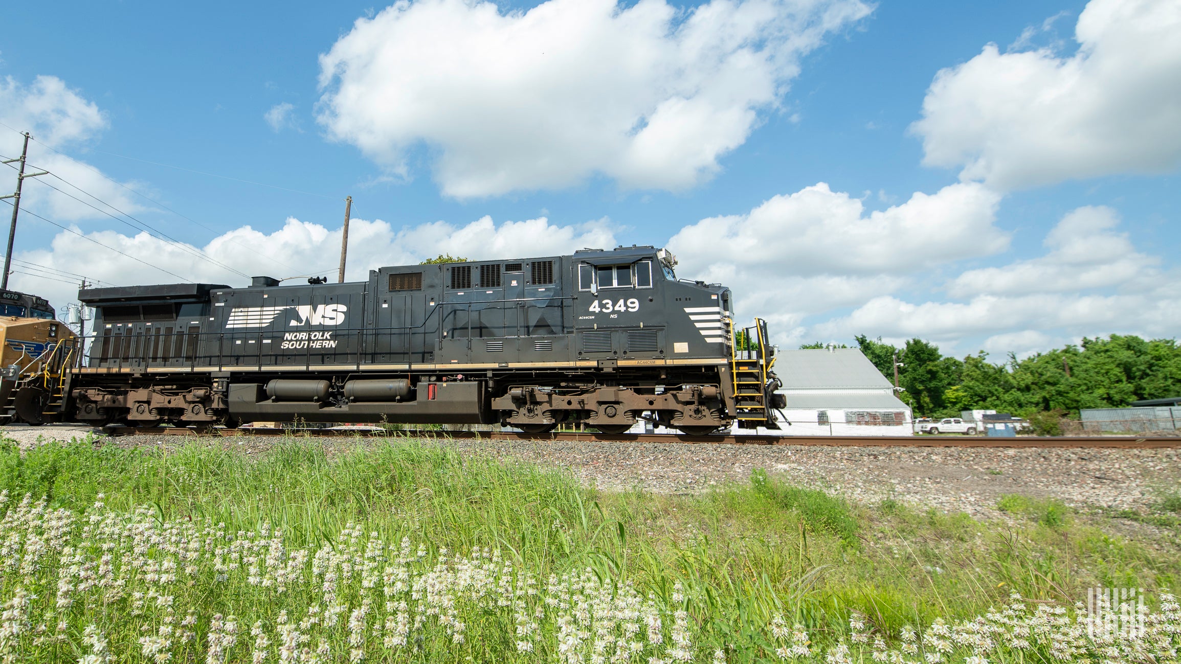 A photograph of a Norfolk Southern train rolling through a field.