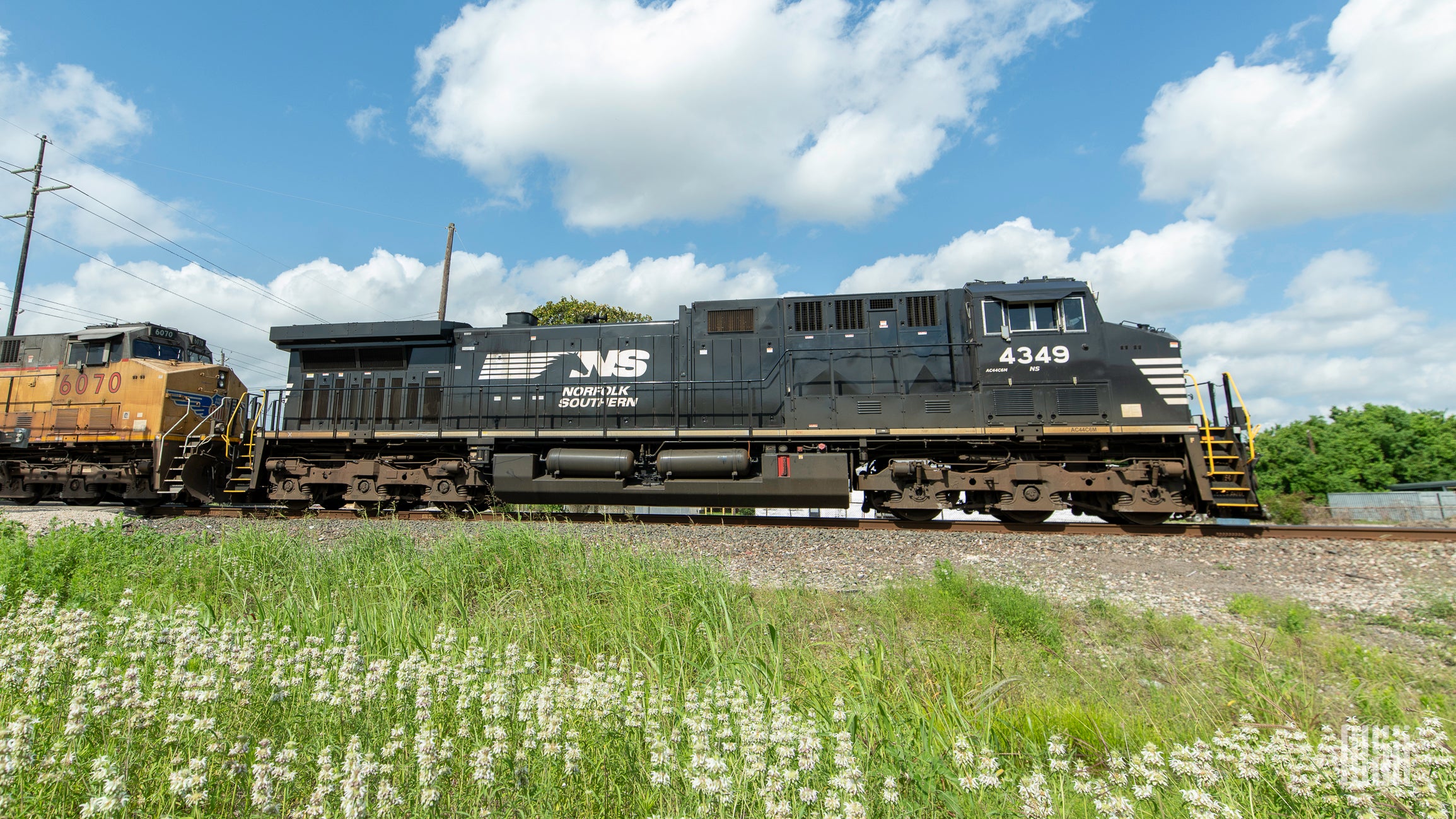 A Norfolk Southern locomotive rolling down a field.