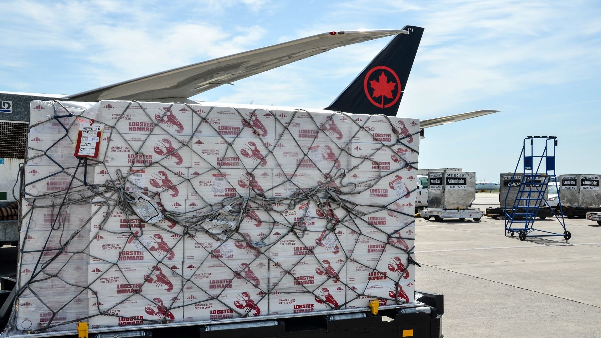 A large pallet with boxes of lobster under a net sitting on tarmac next to an Air Canada plane.