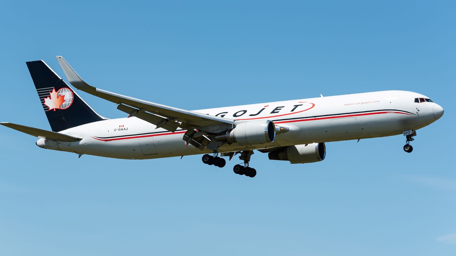 A white jet with blue tail, Cargojet lettering with wheels down coming into for landing.