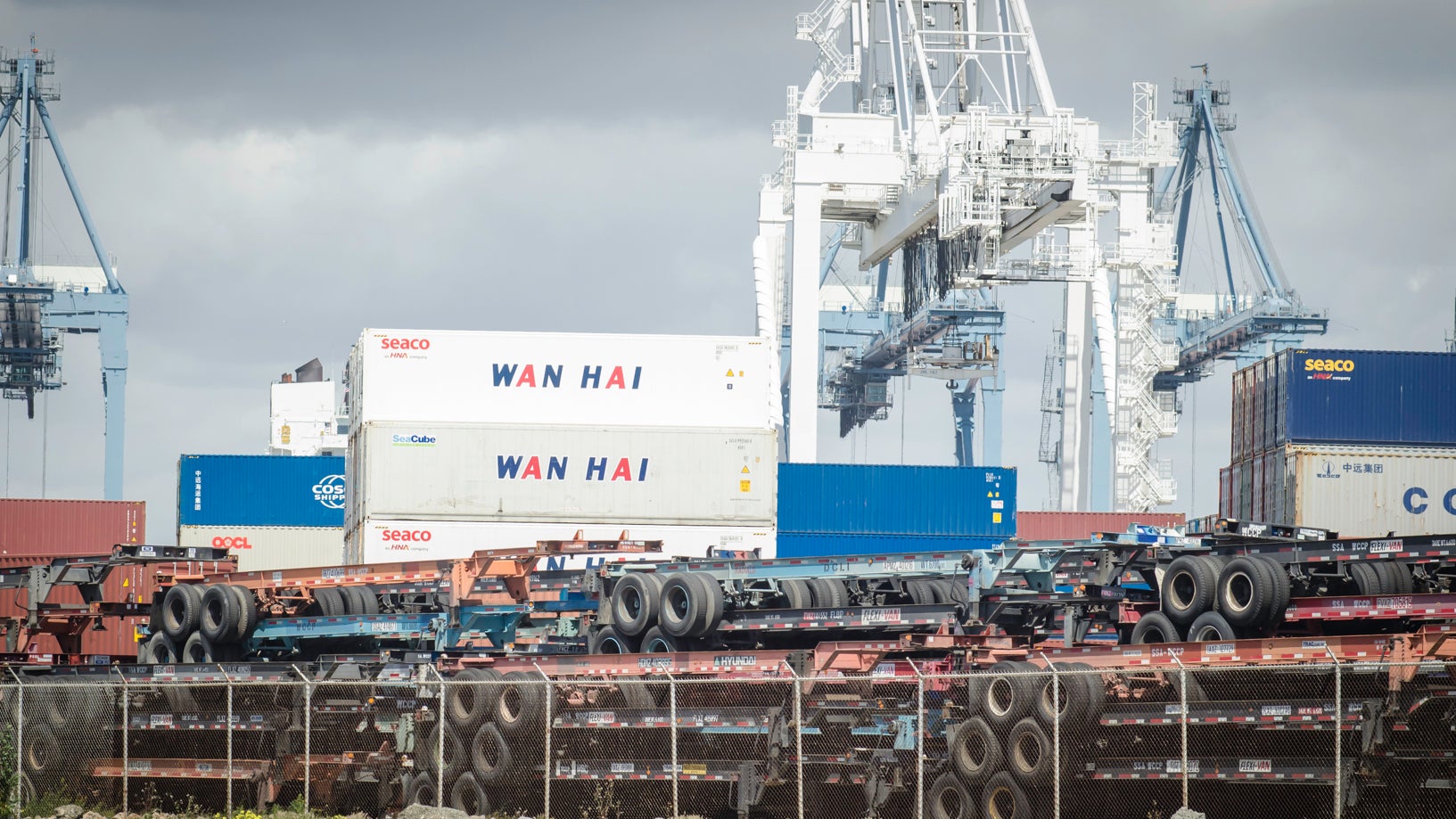 Containers and chassis stacked at a port with cranes in the background.