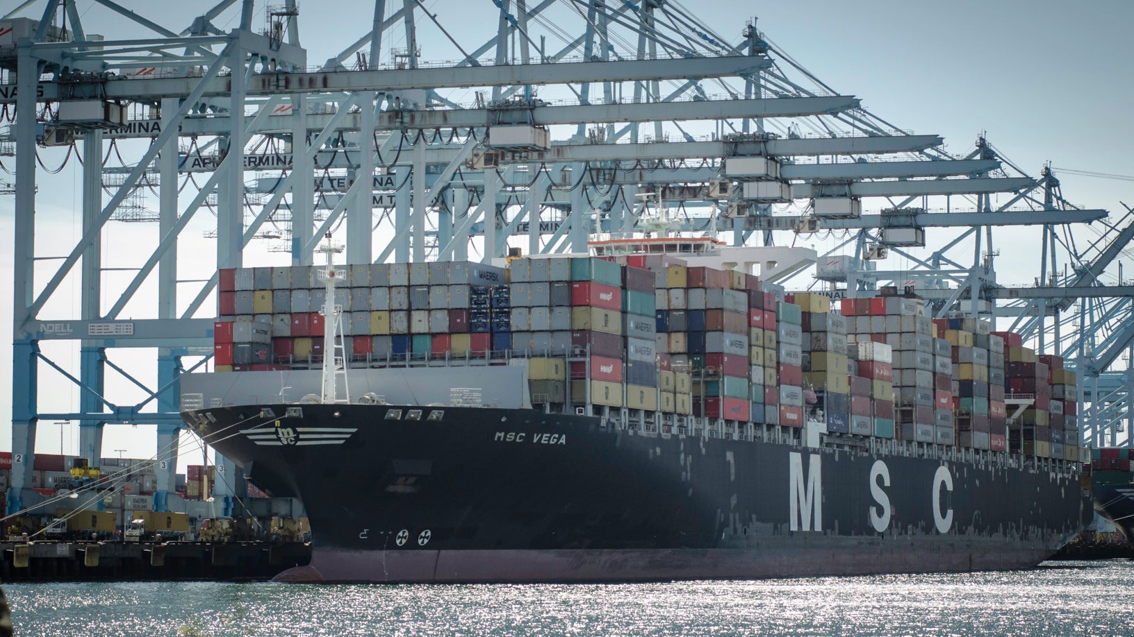 A large container vessel with MSC on hull at a port with large cranes hovering over it.