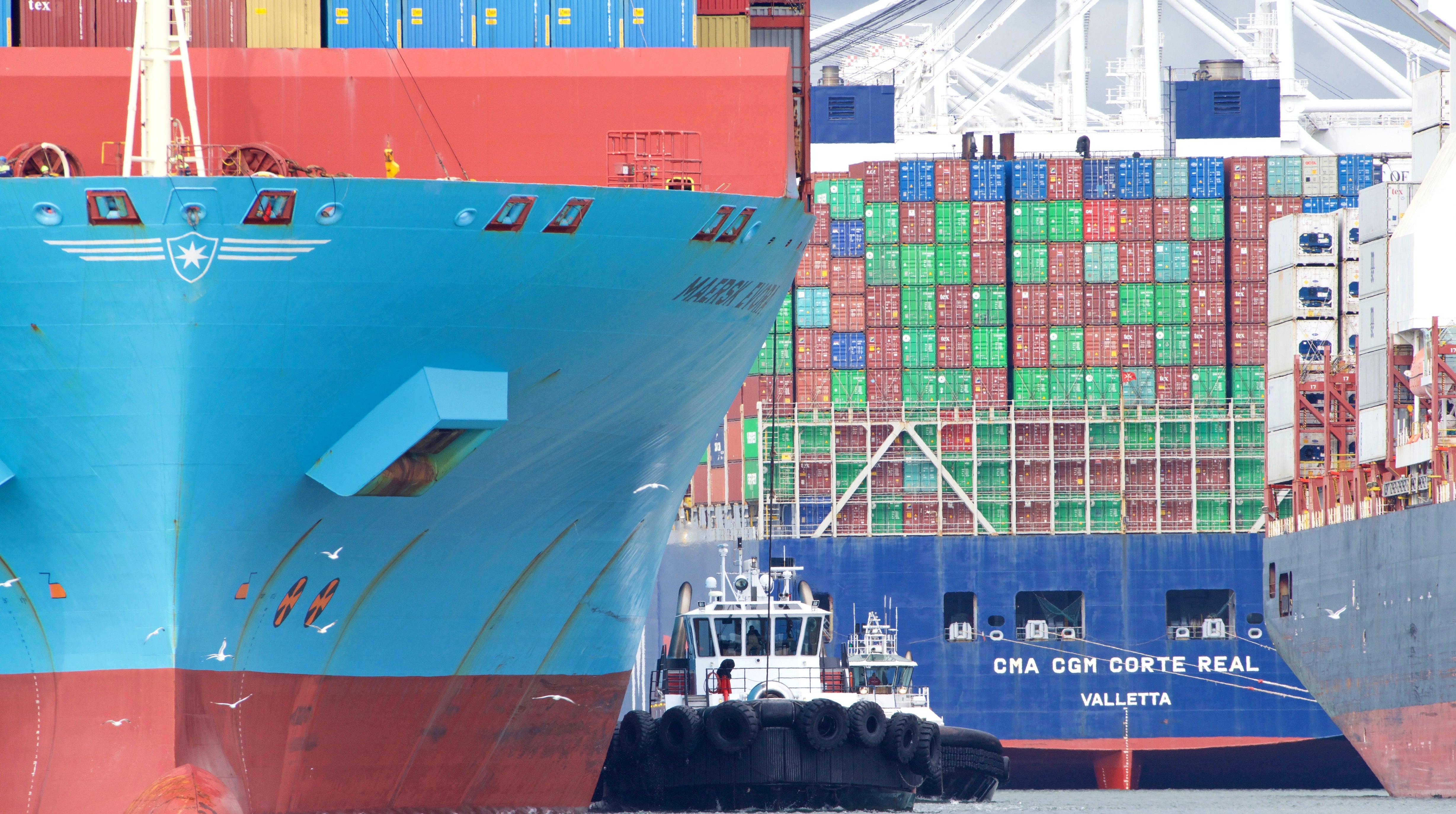 container shipping supply chain