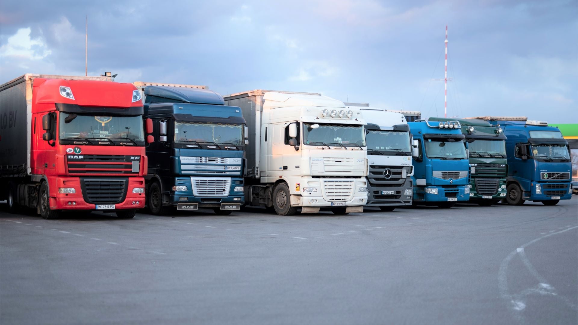 A row of trucks in many colors, looking at the front of the cab.