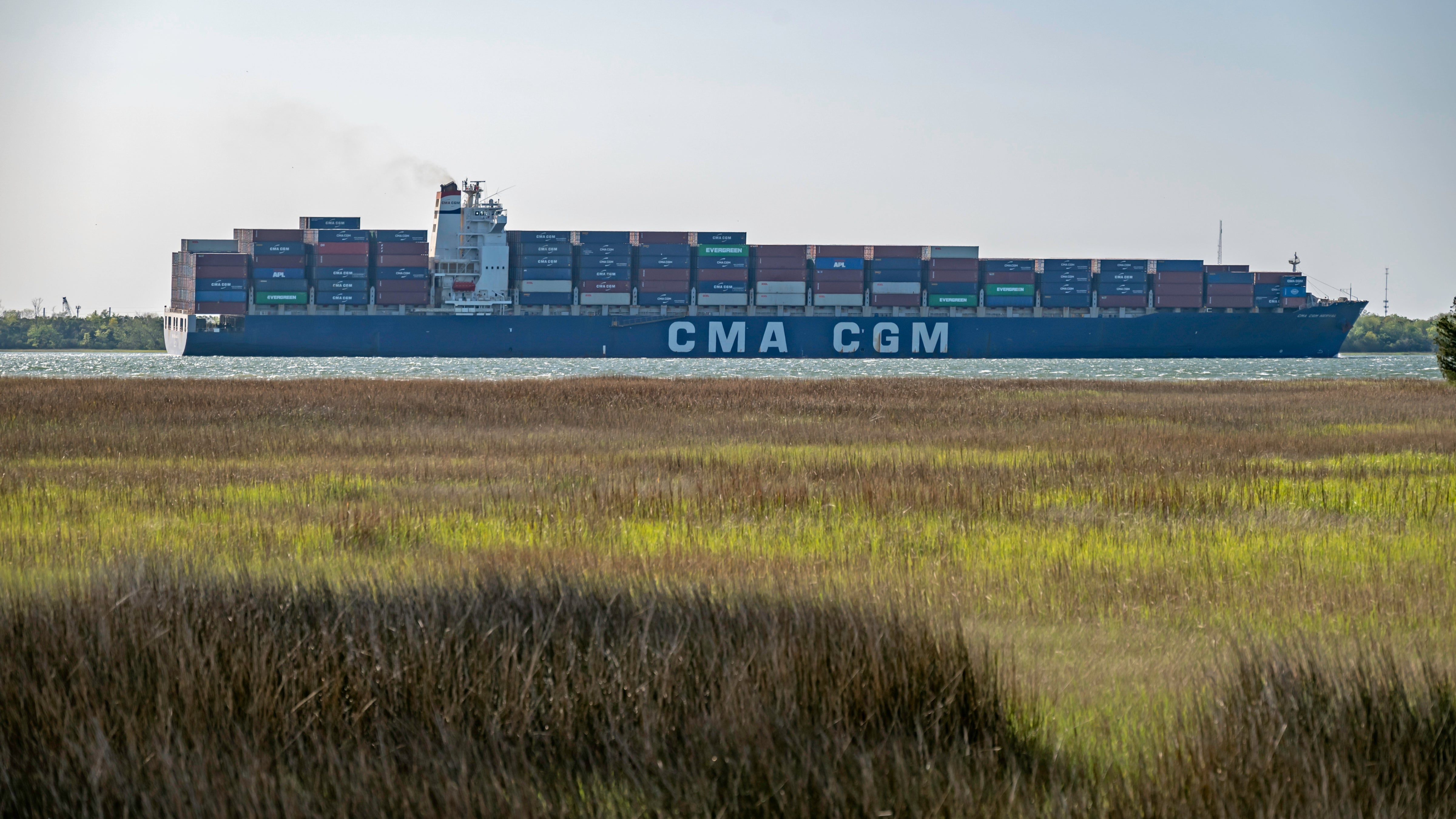 A container ship sails pass a grassy marsh.