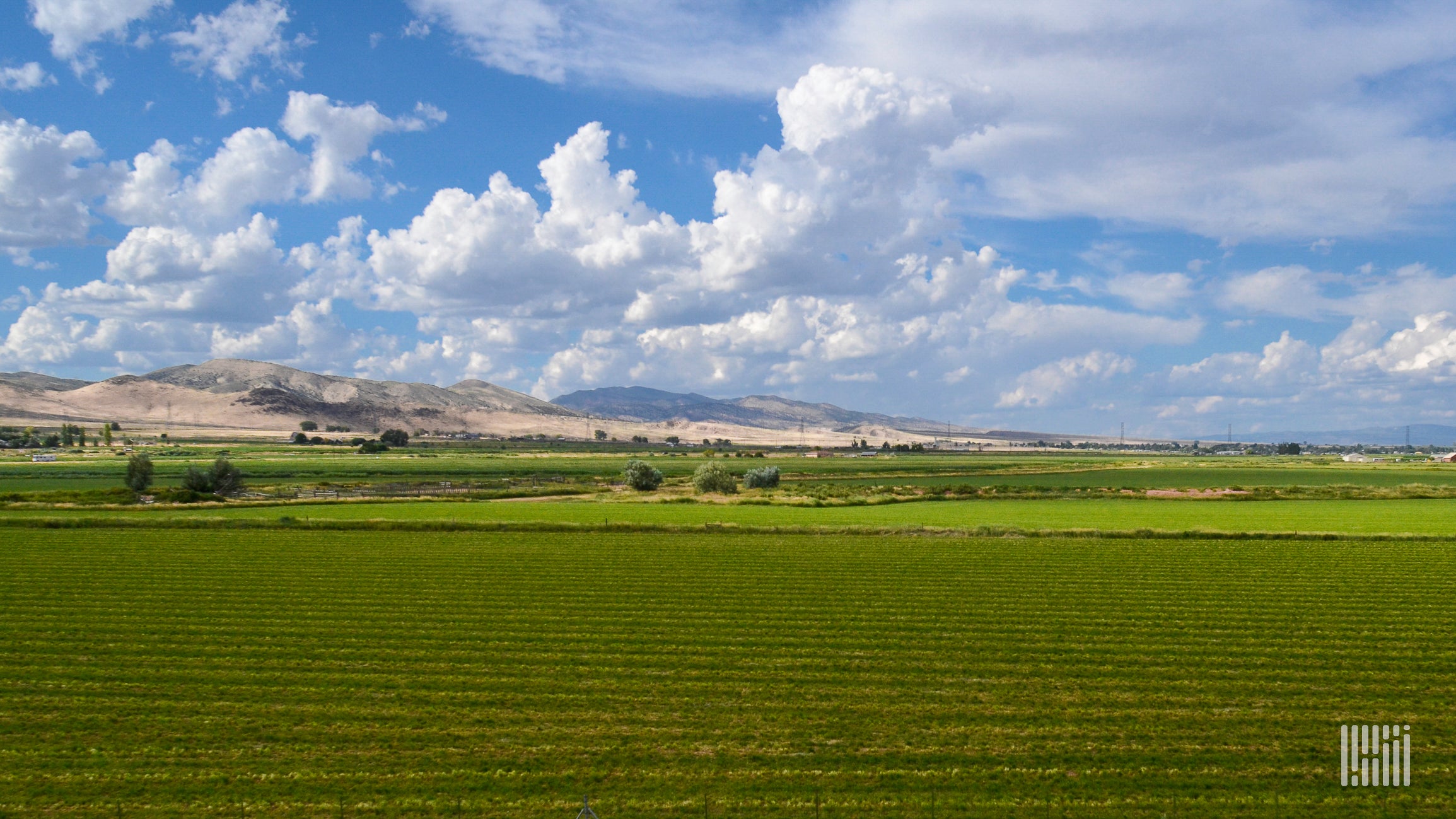 Green rows of crops are shown with a background of cloudy blue skies.