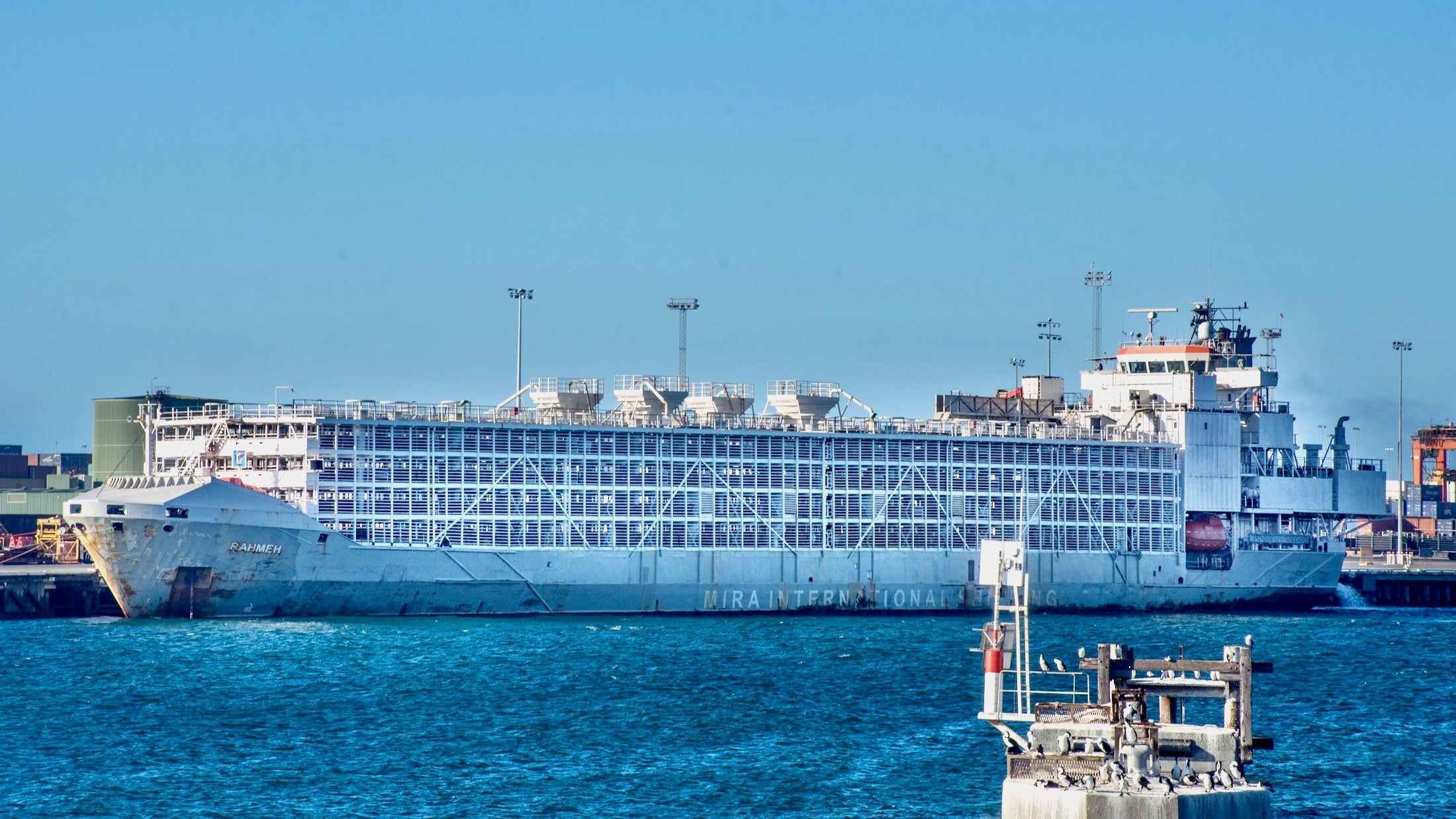 A livestock shipping carrier