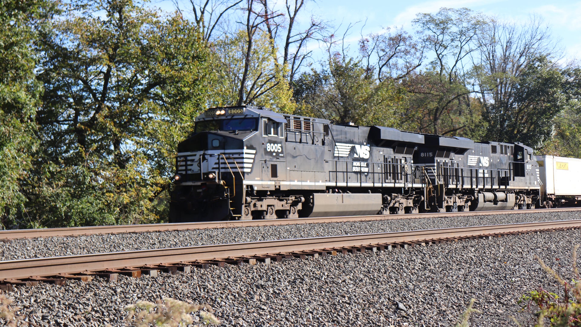 A Norfolk Southern locomotive pulls a train with intermodal containers through a clearing of trees.