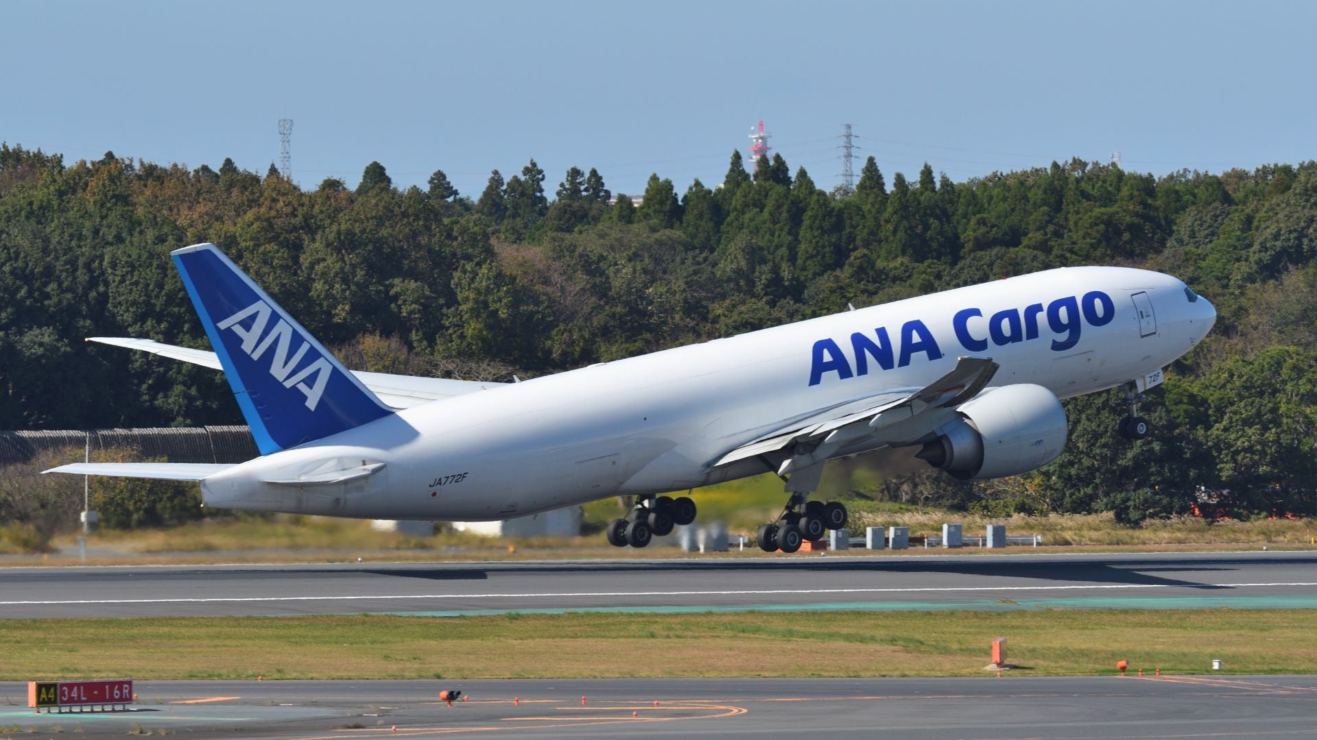 A white cargo jet with blue tail and ANA Cargo logo takes off.