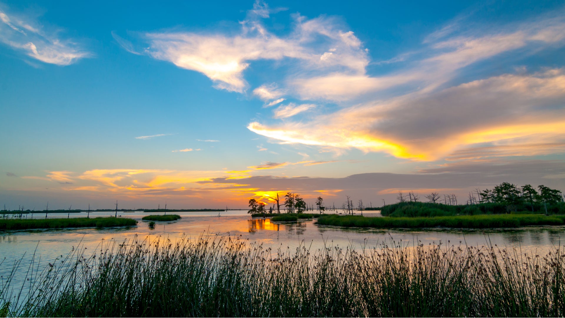 A coastal marsh at sunset.