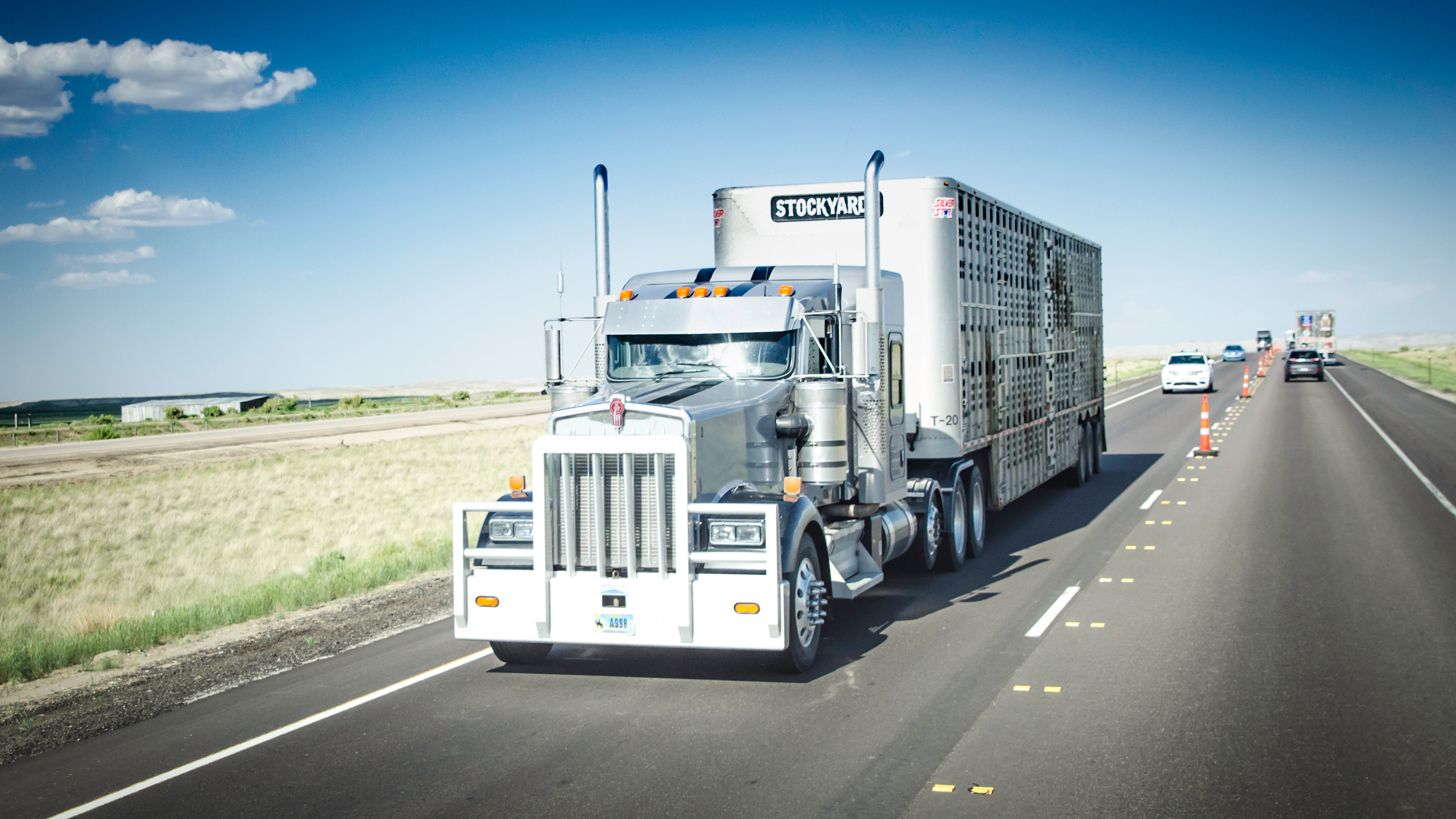 Truck with livestock trailer.